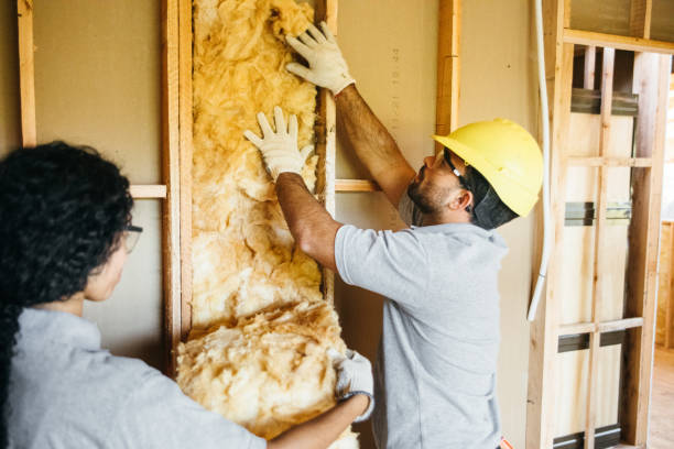 Best Insulation Repair Services  in Lake City, PA