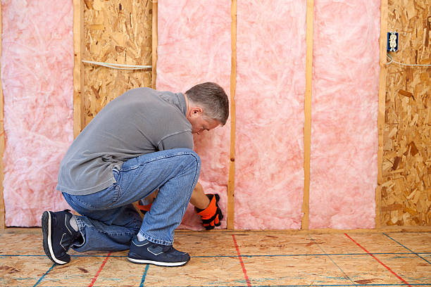 Best Insulation for New Construction  in Lake City, PA