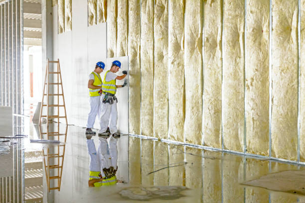 Best Local Insulation Services  in Lake City, PA